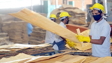 Plywood Manufacturers In India